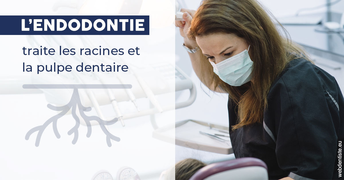 https://dr-jean-de-malbosc.chirurgiens-dentistes.fr/L'endodontie 1