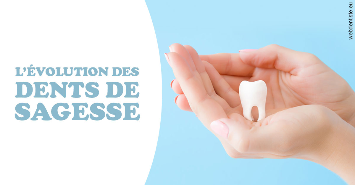https://dr-jean-de-malbosc.chirurgiens-dentistes.fr/Evolution dents de sagesse 1