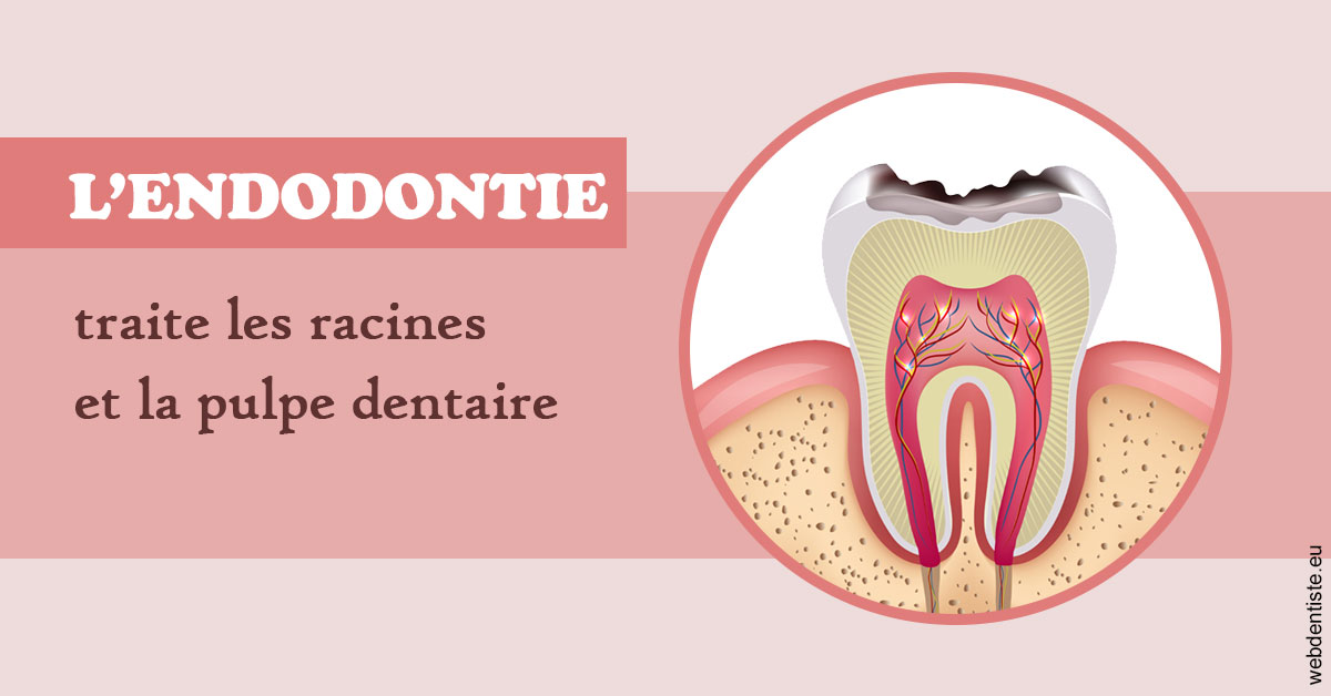 https://dr-jean-de-malbosc.chirurgiens-dentistes.fr/L'endodontie 2