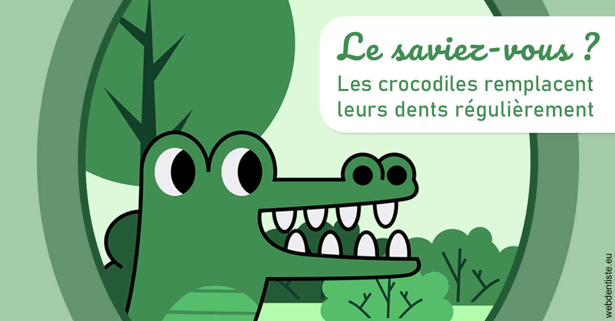 https://dr-jean-de-malbosc.chirurgiens-dentistes.fr/Crocodiles 2