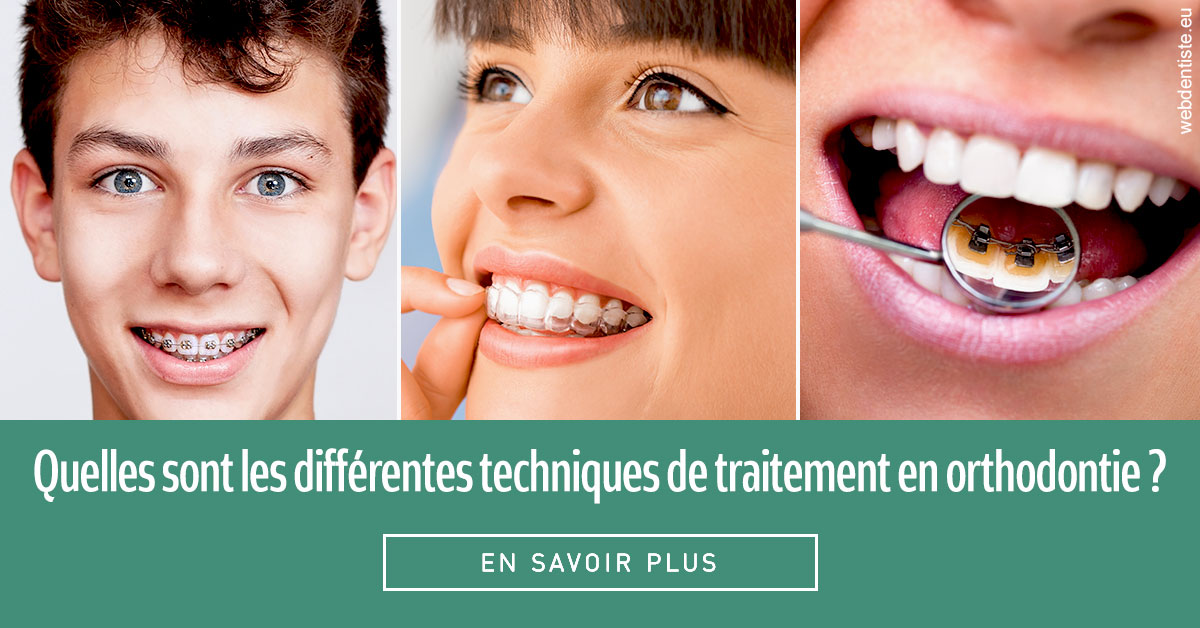 https://dr-jean-de-malbosc.chirurgiens-dentistes.fr/Les différentes techniques de traitement 2